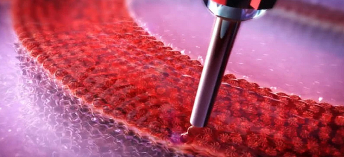 Bioprinting of 3D models of hematopoiesis starting from the bone marrow